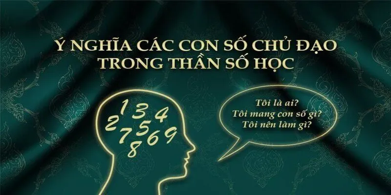 Thần số học xem được những gì về tính cách và con người?